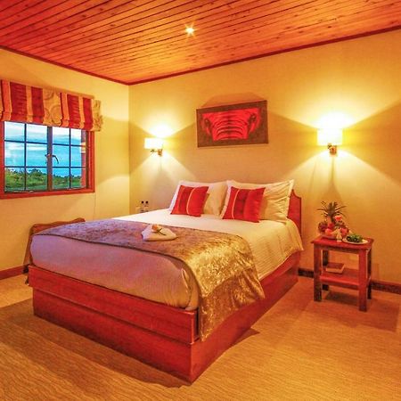 The Ark Lodge نيري المظهر الخارجي الصورة