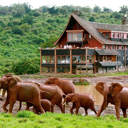 The Ark Lodge نيري المظهر الخارجي الصورة