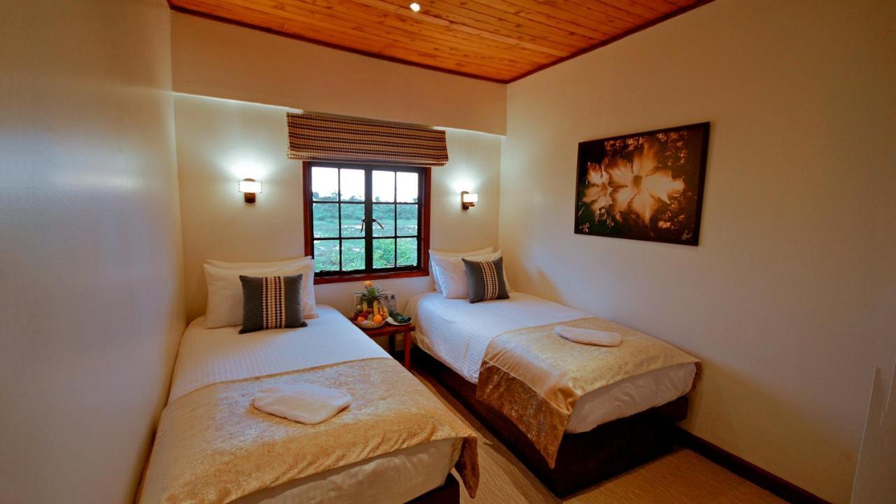The Ark Lodge نيري المظهر الخارجي الصورة