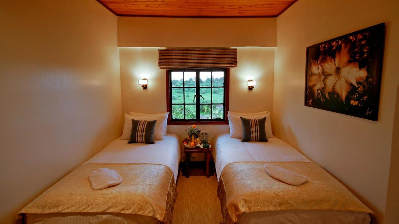 The Ark Lodge نيري المظهر الخارجي الصورة