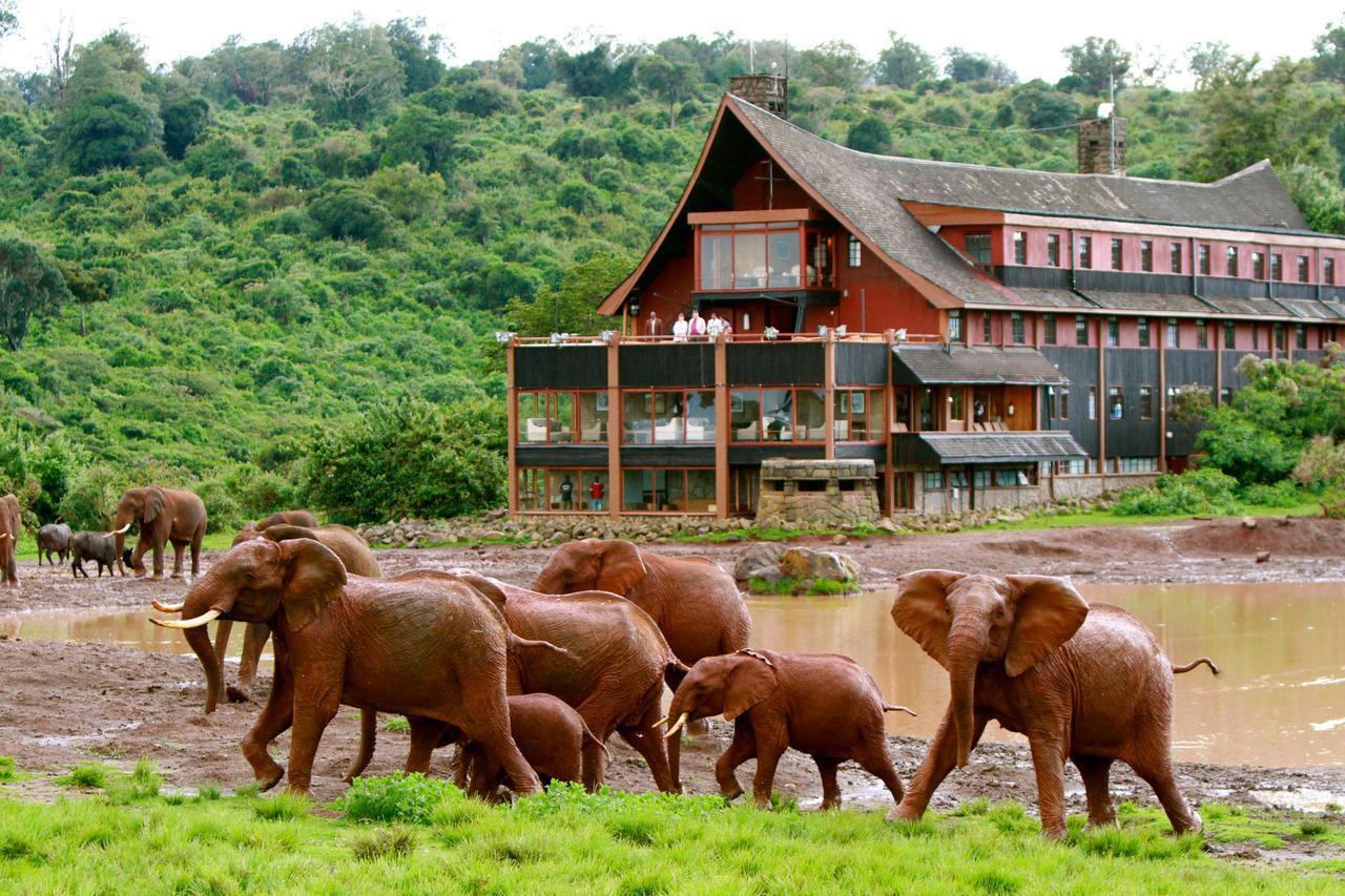 The Ark Lodge نيري المظهر الخارجي الصورة