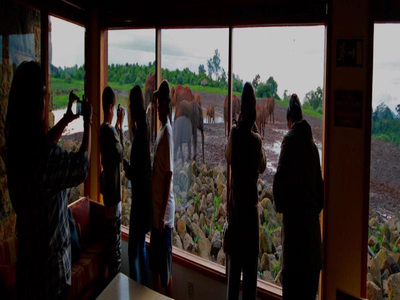 The Ark Lodge نيري المظهر الخارجي الصورة